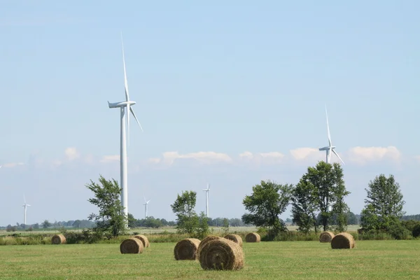 Balas de heno en el campo — Foto de Stock