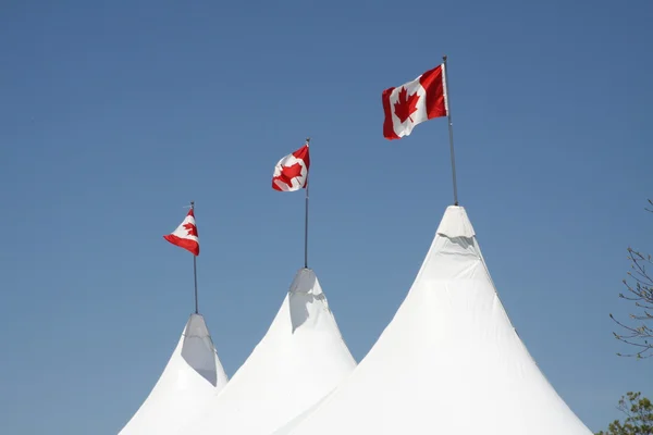 Bandera de Canada — Foto de Stock