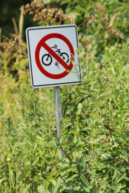 Kırmızı kanatlı karakuş (Agelaius phoeniceus)