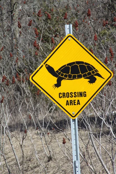 Turtle Crossing Sign — Stock Photo, Image