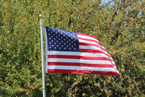 Flag of USA — Stock Photo, Image