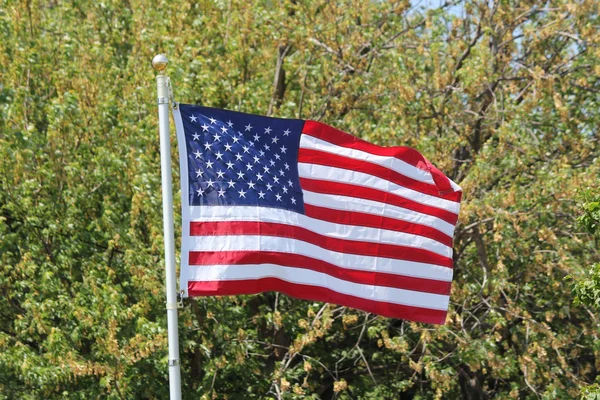 Flag of USA — Stock Photo, Image