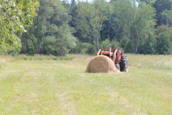Traktor im Feld — Stockfoto