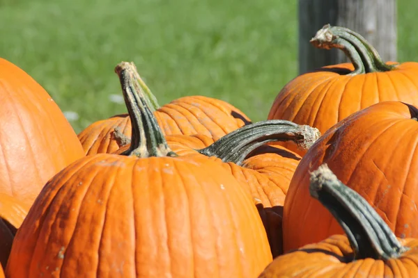 Pumpor till salu — Stockfoto