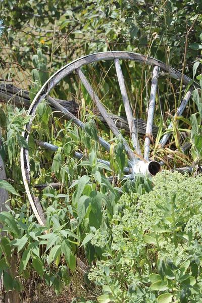 Wagon Wheel, Rustic — Stock Photo, Image