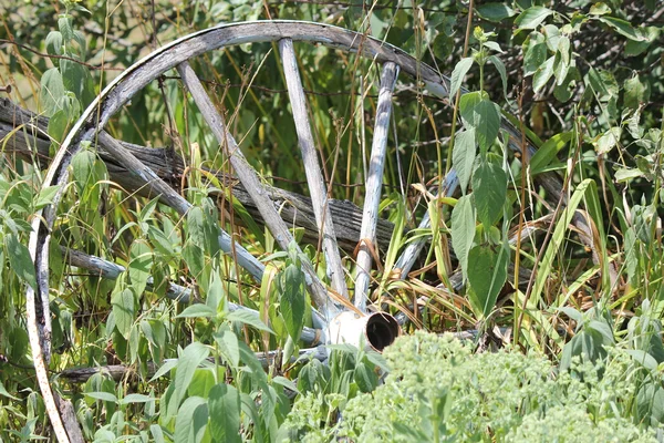 Wagon Wheel, Rustic — Stock Photo, Image