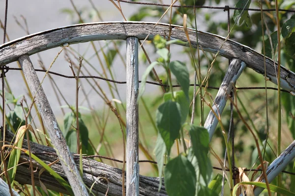 Wagon Wheel, Rustic — Stock Photo, Image