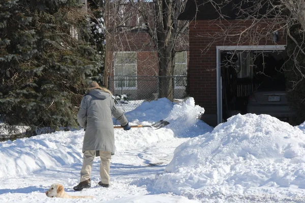 Paleando nieve — Foto de Stock