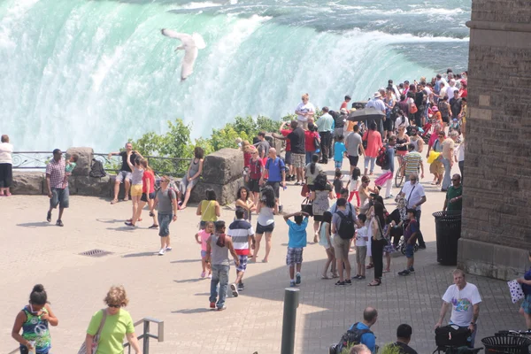 Podkowa spada, kanadyjski, turystów Zdjęcie Stockowe