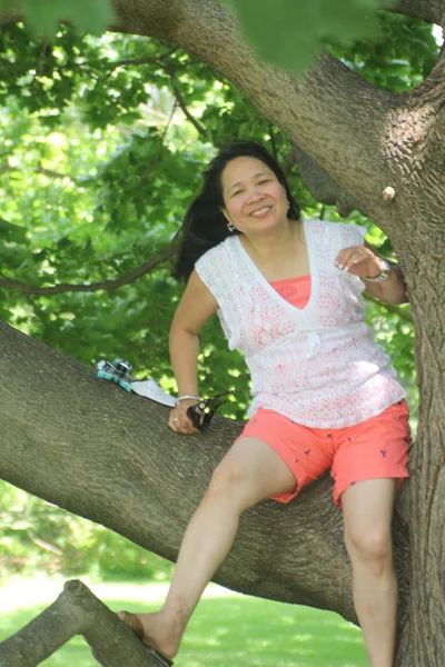 Lady in Tree — Stock Photo, Image