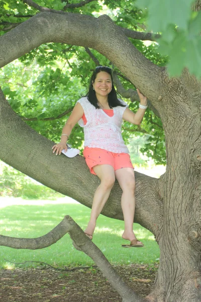 Lady in Tree — Stok Foto