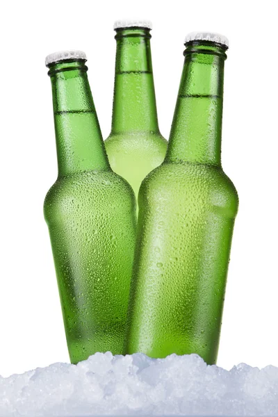 Pivní trojice — Stock fotografie