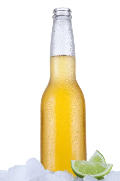 Birra estiva — Foto Stock