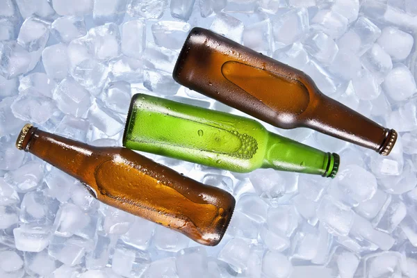 Cooling beers — Stock fotografie