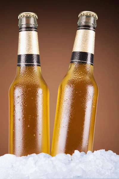两瓶啤酒 — 图库照片
