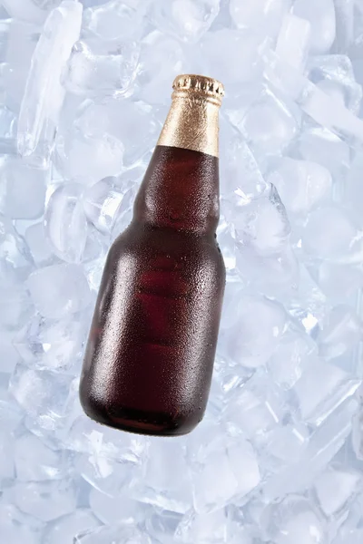 One cold beer — Stock Photo, Image