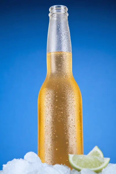Letní pivo — Stock fotografie