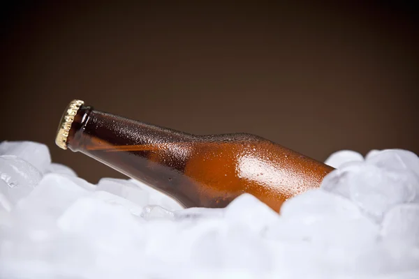 The cooler beer — Stock Photo, Image