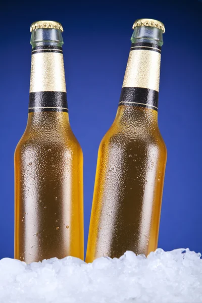 Two beers — Stock Photo, Image