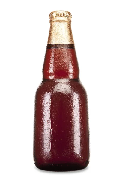 Beer isolated Stock Image
