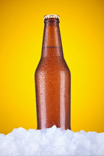 One beer — Stock Photo, Image