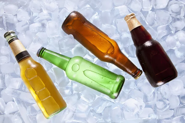 Cervejas refrigerantes — Fotografia de Stock