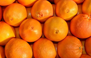 Navel oranges clipart