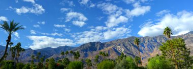 Palm Springs Pano clipart