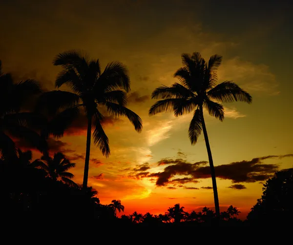 Hawaii puesta de sol — Foto de Stock