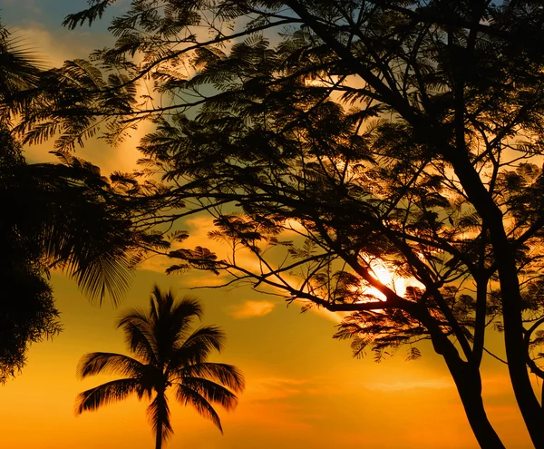 Hawaii puesta de sol —  Fotos de Stock