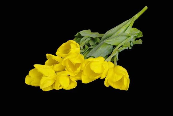 Ein Sehr Gelbes Boukett Von Gelben Tulpen — Stockfoto