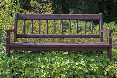 fazla büyümüş Weeds ile tezgah