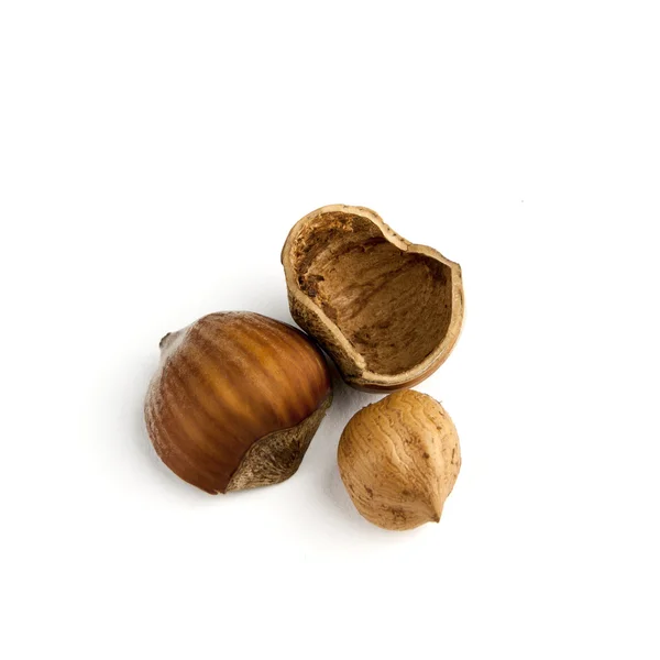 Krakattu hasselpähkinä — kuvapankkivalokuva