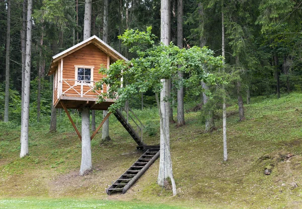 Casa sull'albero nel bosco — Foto Stock