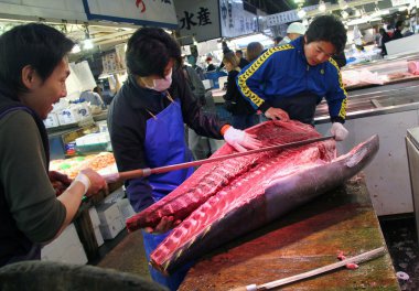 tsukiji balık pazarı