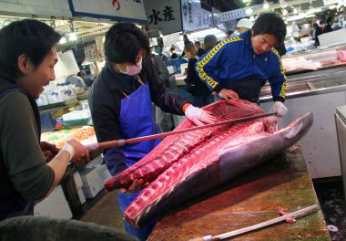 Tsukiji fish market clipart