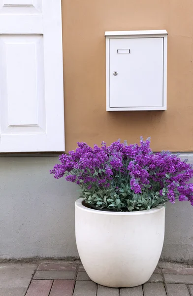 Çiçek saksı ve posta kutusu — Stok fotoğraf