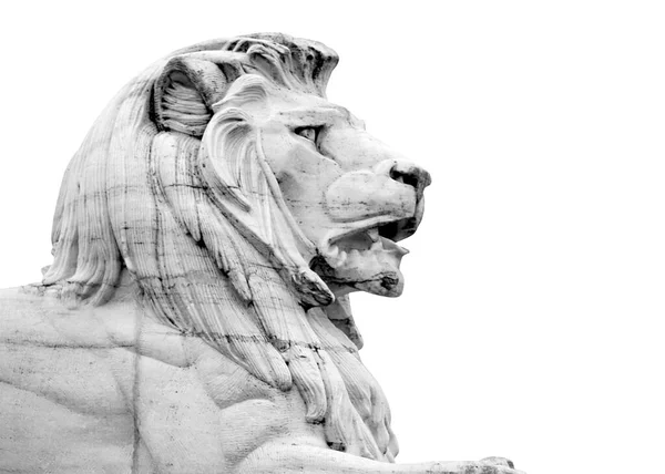 Mramorová Socha Lví Hlavy Izolovaná Bílém Pozadí Boční Pohled Černobílý — Stock fotografie