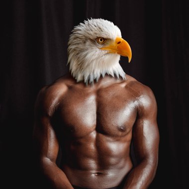 Siyah kaslı atletik erkek gövdesi kel kartal kafası, ön manzara fotoğraf manülasyonu
