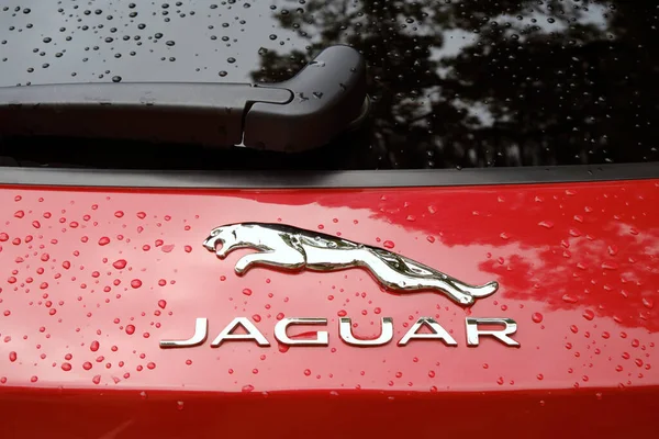 Jaguar Car Emblem Closeup Jaguar Luxury Vehicle Brand Jaguar Land — Φωτογραφία Αρχείου