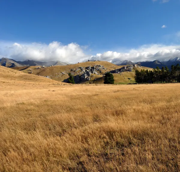 Castle hill vertikální panorama, Nový Zéland — Stock fotografie