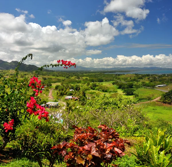 Vertical Panorama of the Fijian West Coast. — Stockfoto