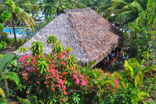 Cabana de grama tradicional fijiana em jardins tropicais — Fotografia de Stock