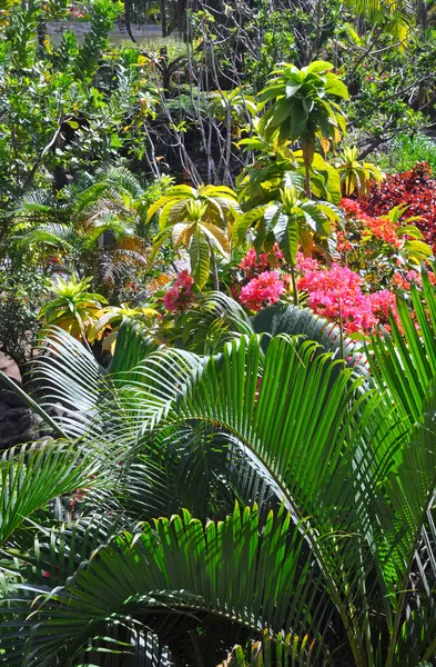 Tropisches Gartenparadies - Fidschi — Stockfoto