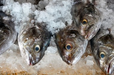 buz Paketli Satılık balık