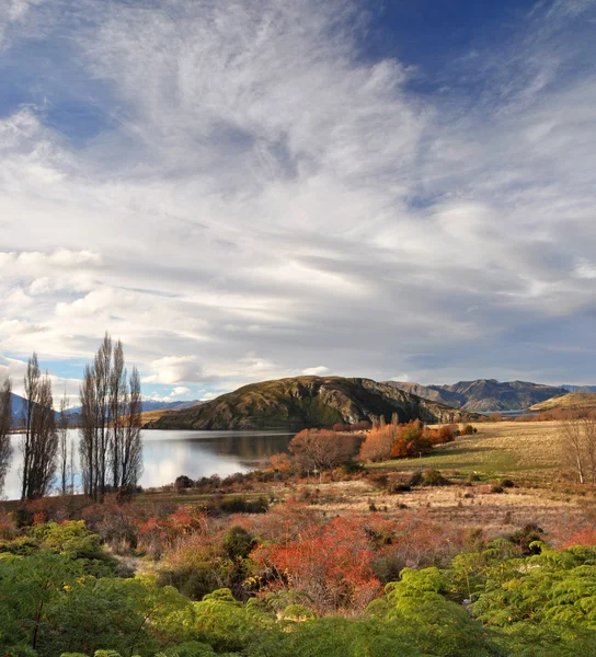 Lake wanaka verticale panorama in de herfst, otago, Nieuw-Zeeland — Stockfoto