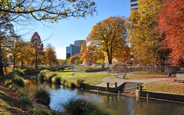 Christchurch město & avon řeka na podzim — Stock fotografie