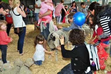 Çocuk kuzular tarım Show'da sevişme