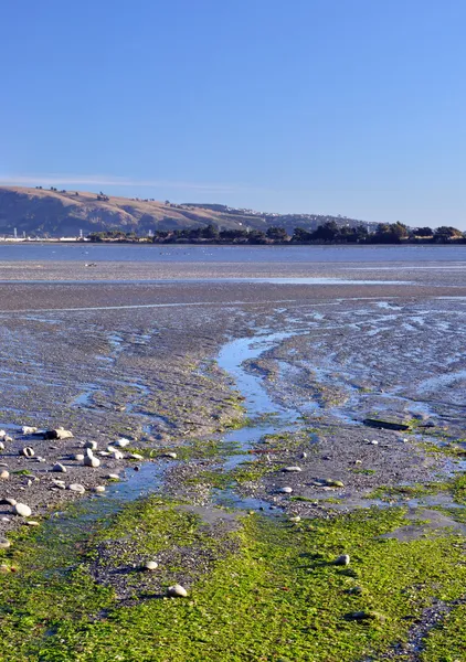 Christchurch estuarium & vogel heiligdom verticale panorama — Stockfoto