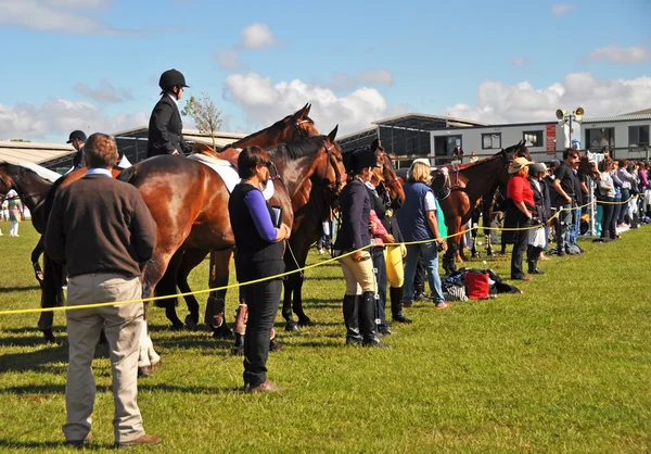 Chevaux, cavaliers et supporters équestres au Canterbury 2012 — Photo